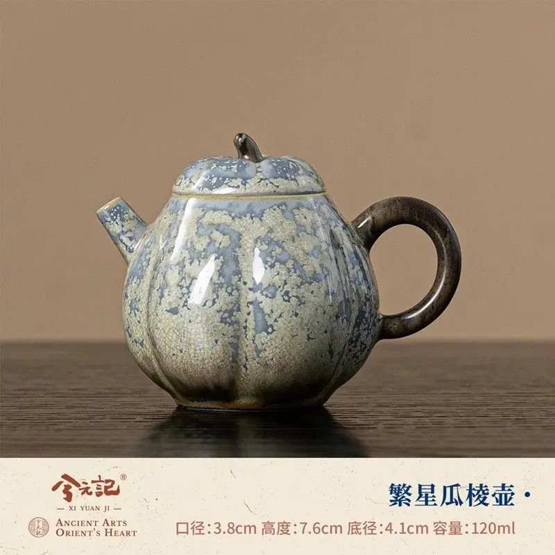 Xiyuanji Starry Kiln Glazed Teapot Household Ceramic Brewing Tea-Water Separation Single Pot Single-Person Kung Fu Tea Set