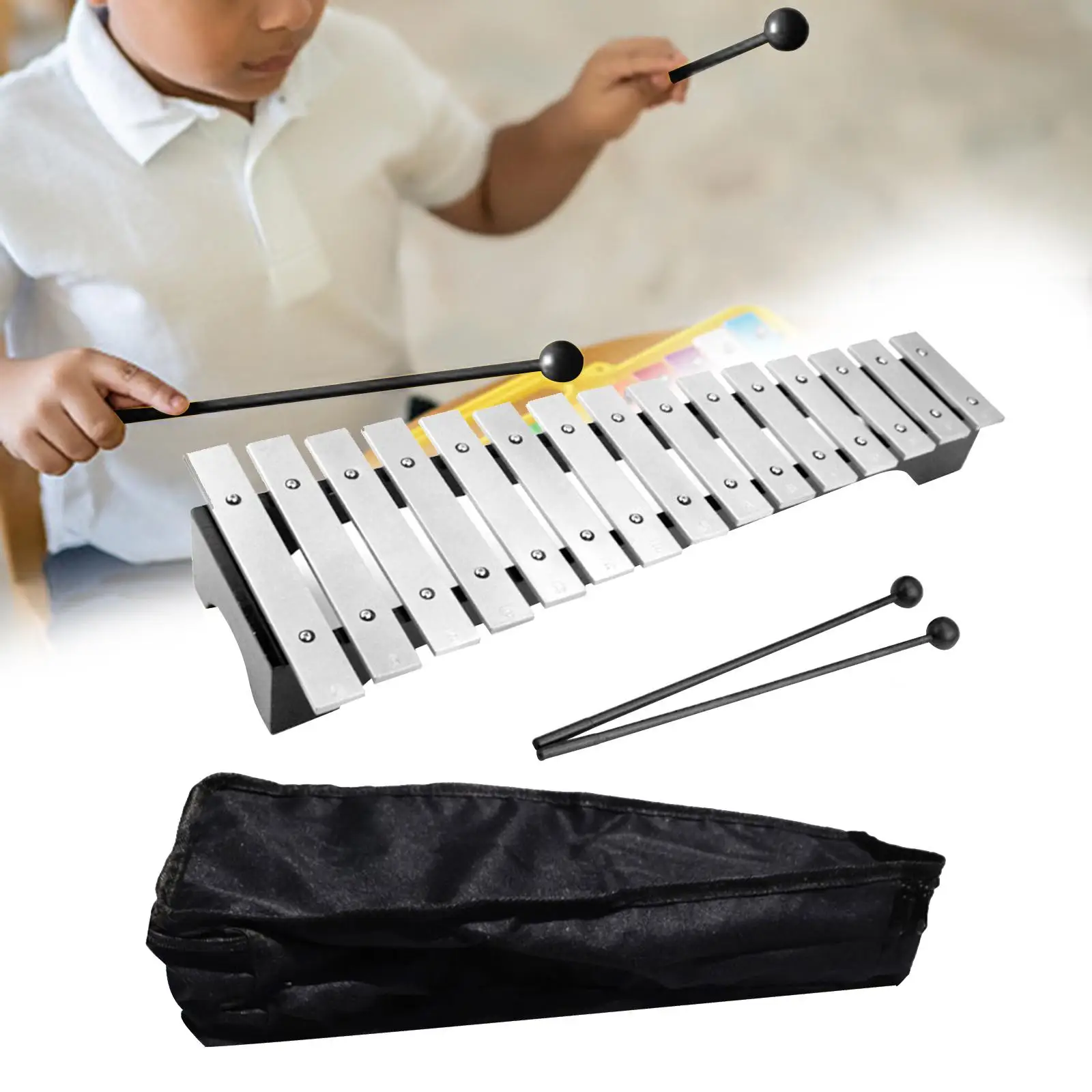 15 Scales Xylophone with Carry Case and Mallets Percussion for Kids