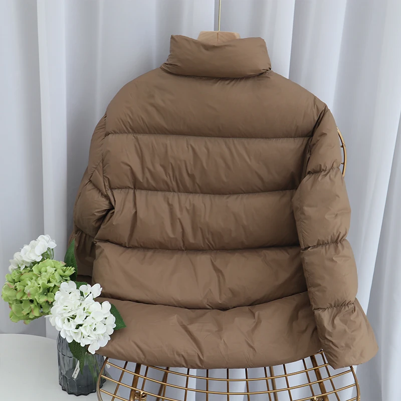 Autumn Winter Korean Women Short Stand Collar Thicken Ultra Light Down Jacket 2024 New Female Casual Loose Solid Color Down Coat