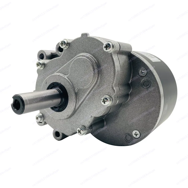 Permanent magnet DC brushed motor 24V/250W power, two-stage deceleration design