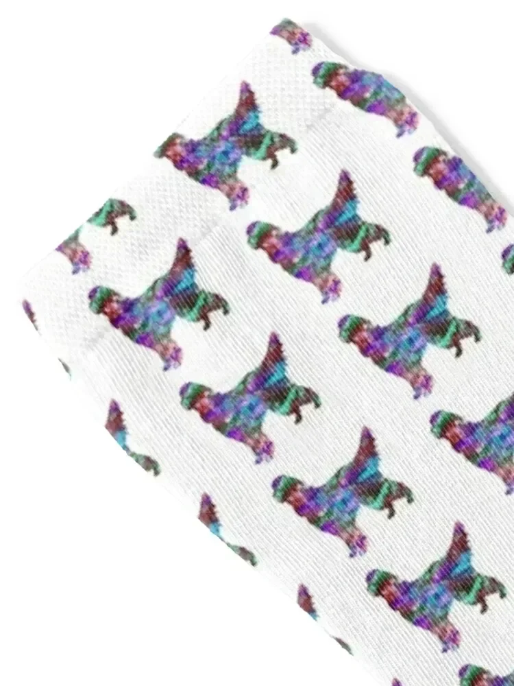 Gordon Setter Socks sports stockings Soccer gym halloween Socks Female Men's