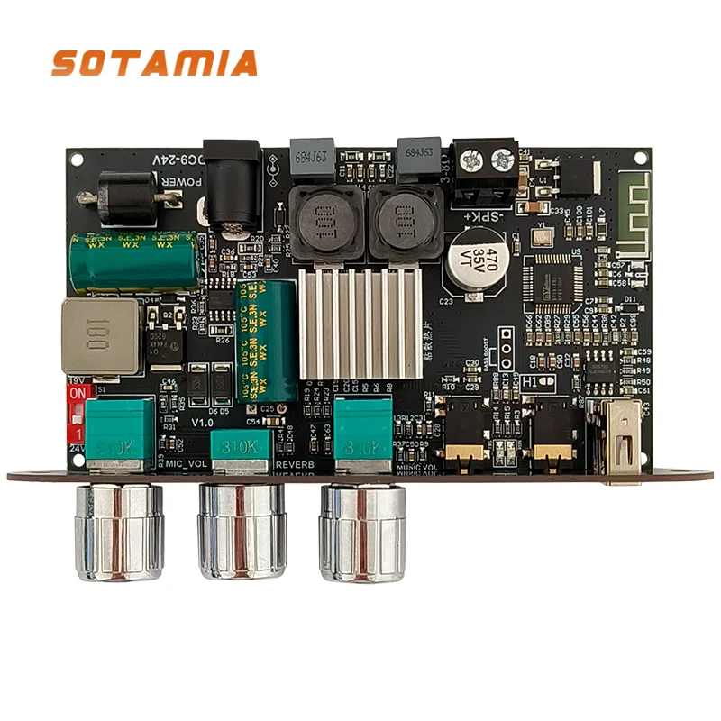 sotamia-tpa3116-bluetooth-パワーアンプボード-100-ワットマイクリバーブモノラルアンプ-tws-屋外スピーカー-aux-入力