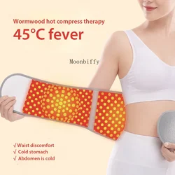 Wormwood FeverTherapy Waist Support Belt Self-Heating Lumbar Support Wrap Lower Back Brace Thin Soft Winter Binder Waistband