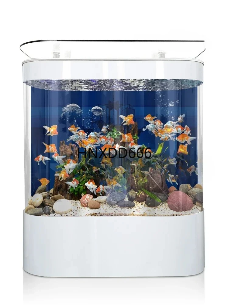 Soggiorno Grande Ac… - image