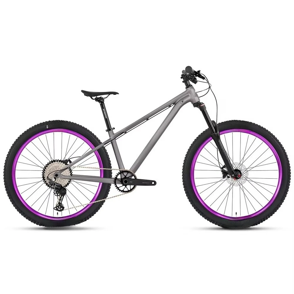 

Aluminum Alloy 6069 Mountain Bike Disc Brake 12 Speed 17" Wheels Adult Off-Road Cross Country Bicycle