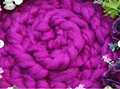 purple (4M)