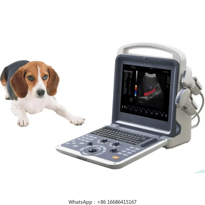 Medical EquIpment Full Digital Veterinary Portable Color Mindray Vet Machine