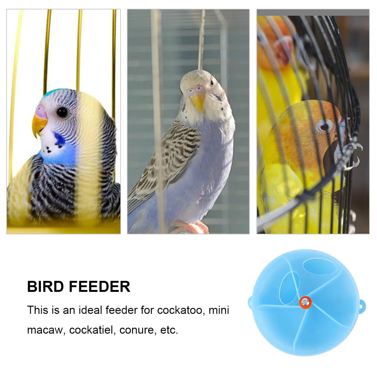 

Premium Parrot Foraging Box Interactive Bird Feeder Chew Bowl Prevent Boredom Educational Training Play Gym Cage Use Safe