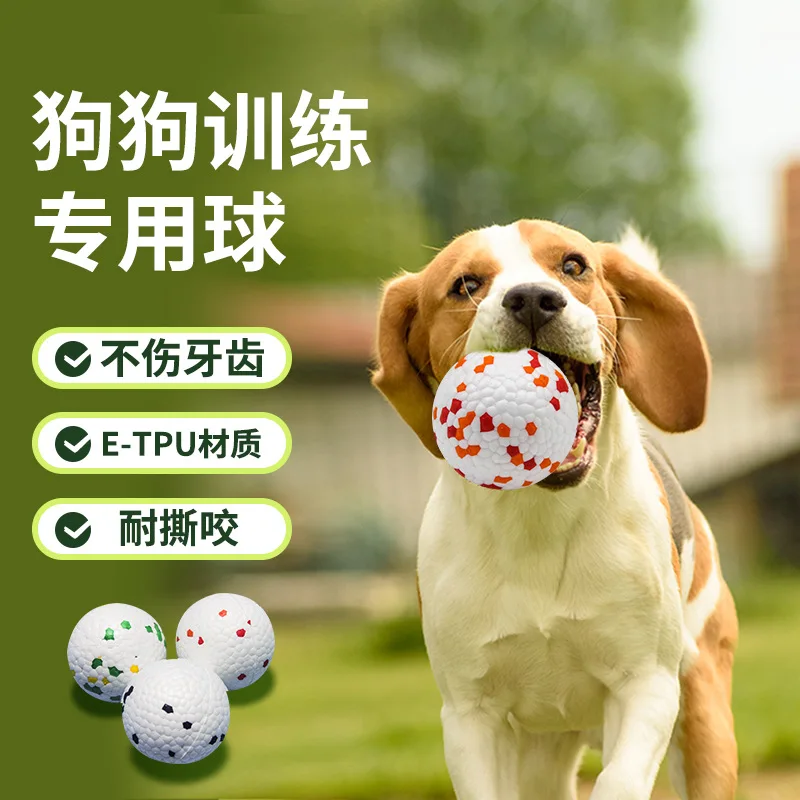 

Pet Dog Toy Ball Interactive Play High Bouncy Ball Toy