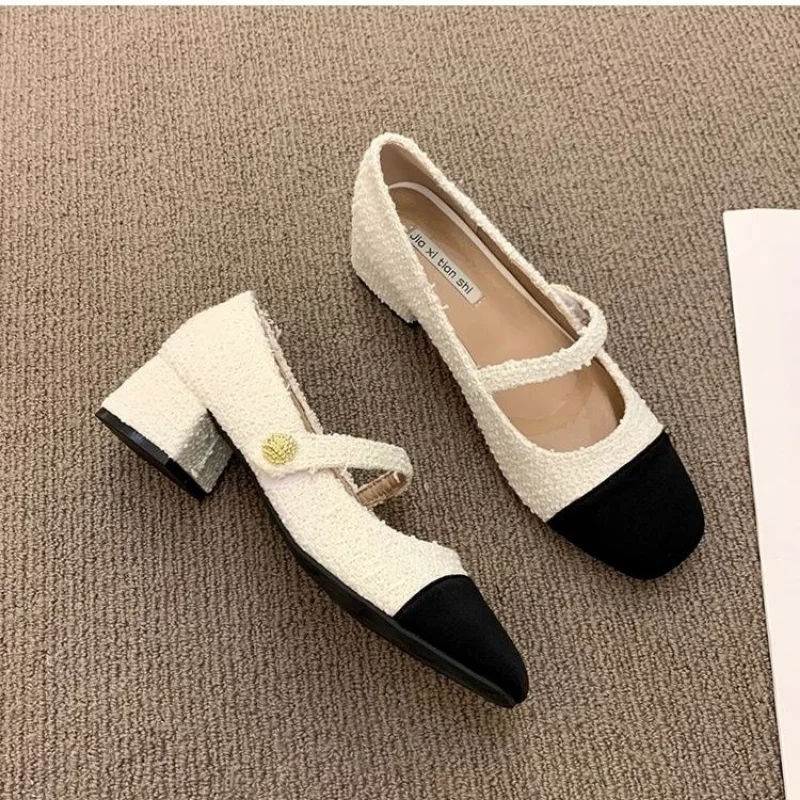 Pumps Women Shoes New Spring Shoes Women Fashion Square Heel Mixed Colors Flock Mary Janes Mid Heels Shallow Party Shoes