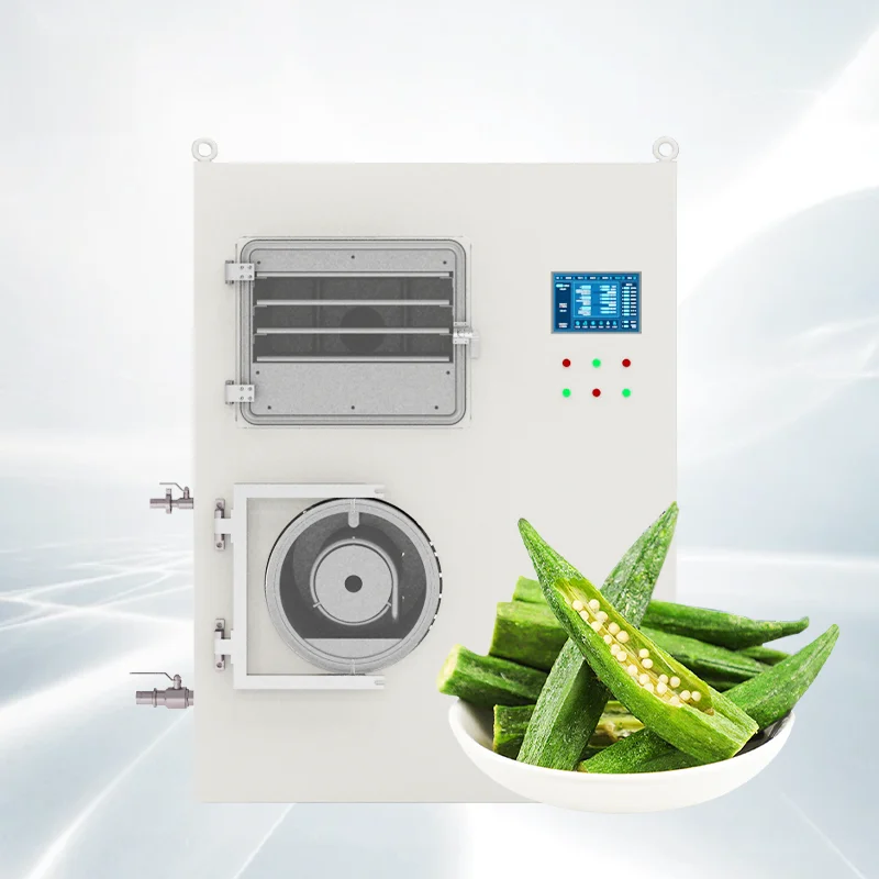 10KG 20KG 30KG 50KG 100KG 200KG 300KG 500KG 1000KG Dried Dry Machine Freeze Drying Equipment