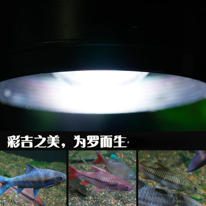 Full spectrum LED fish tank downlight RGB hair color enhancement and color enhancement mobile APP control AT3 + model