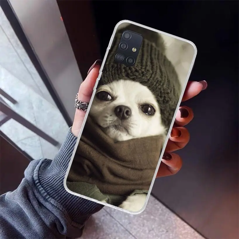 Chihuahua Puppy Teacup Dogs Phone Case for Samsung Galaxy A51 A71 A41 A31 A21S A11 A01 A50S A70 A40 A30S A20E A20S A10S A6 A7 A8