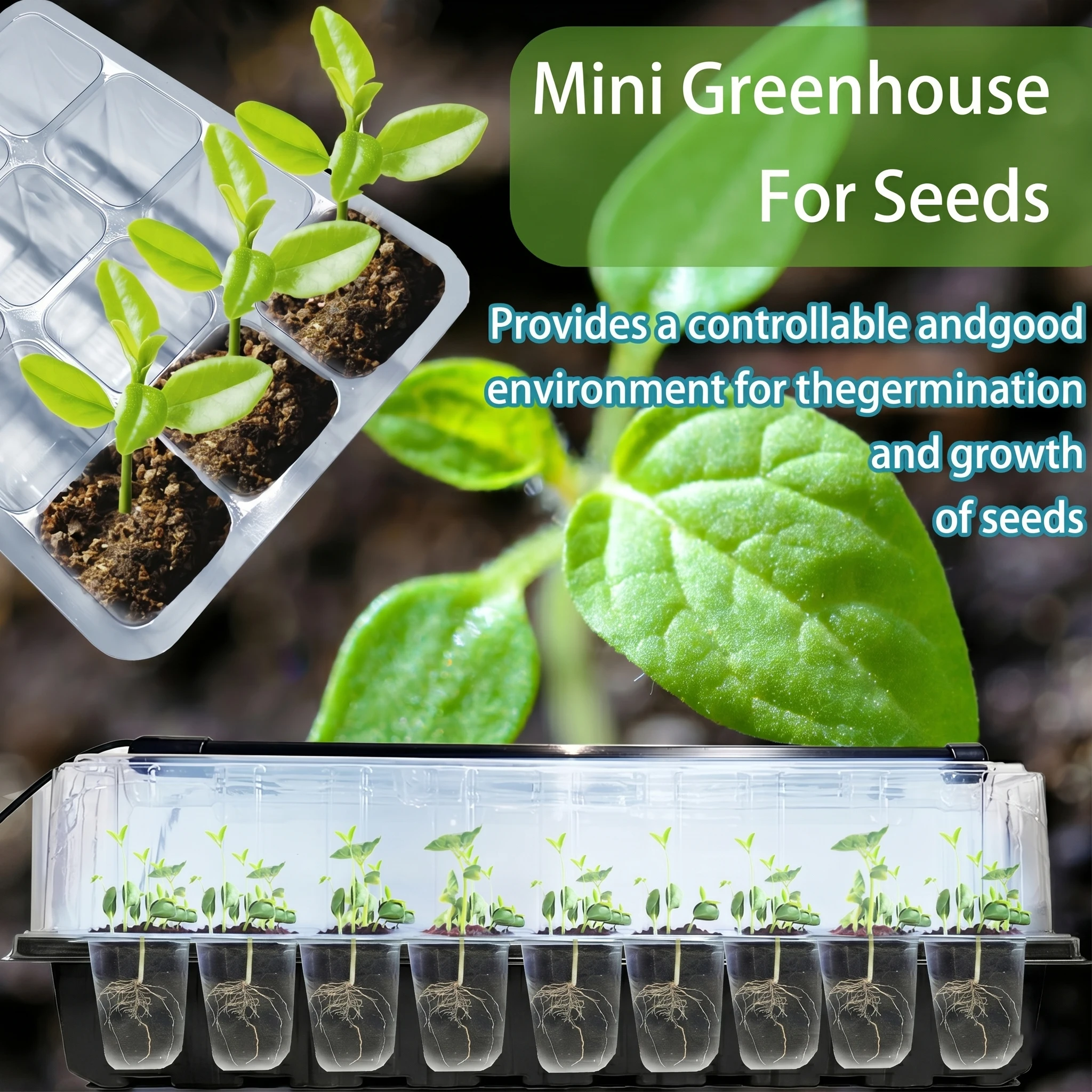 Kit Pembenihan dengan Kubah Ti - Smart Garden Domes ulasan dan harga