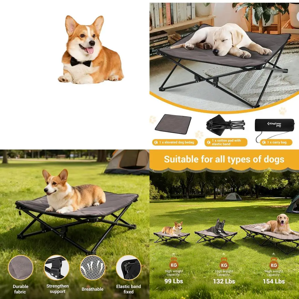 

Medium-Sized Dog Outdoor Cooling Cot with Washable Mesh and Anti-Slip Base, Ideal for Camping, Backyard, and Indoor Use (Black)