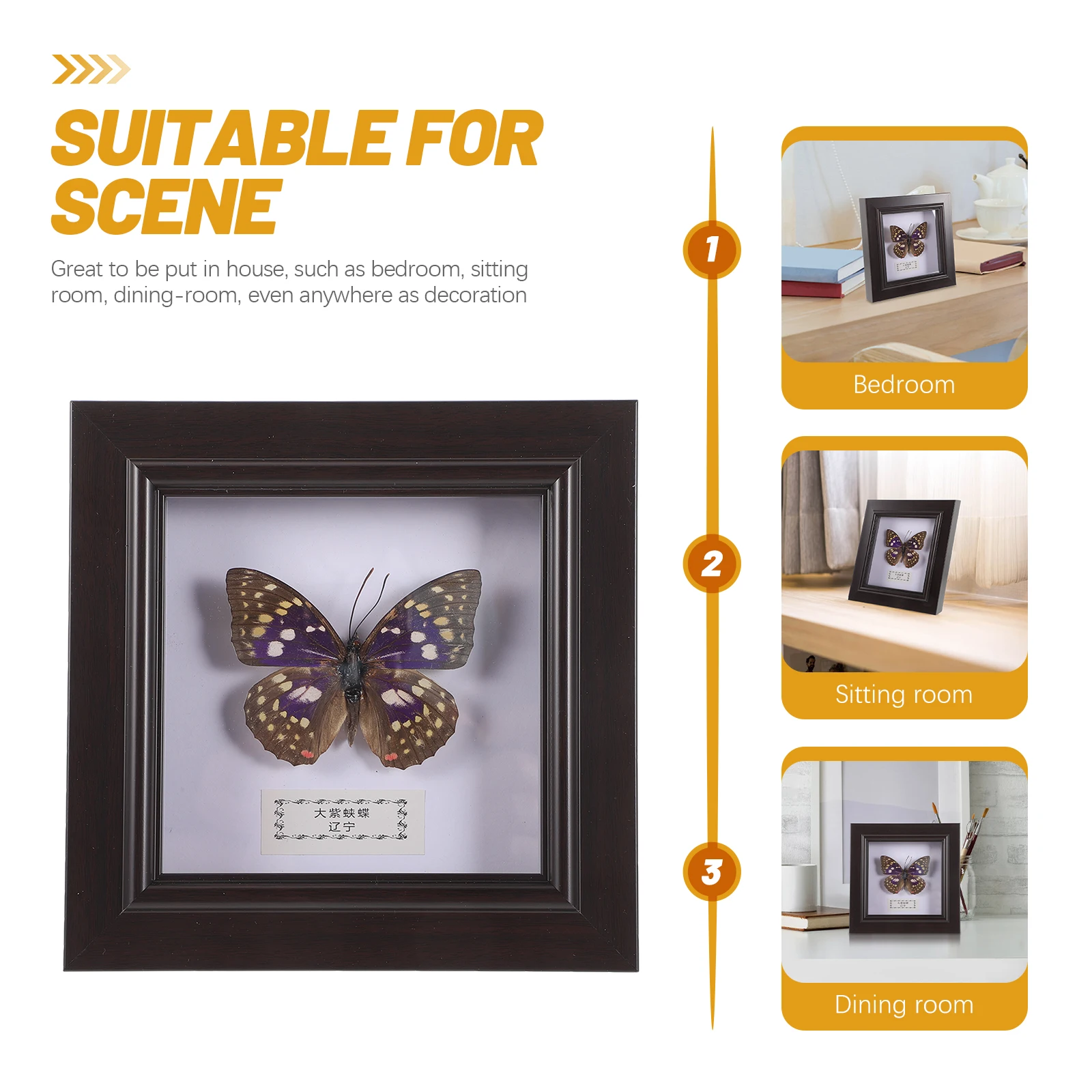 

Simulated Butterfly Specimen Photo Frame Leaf Decoration Display Holder Decorations Resin Household