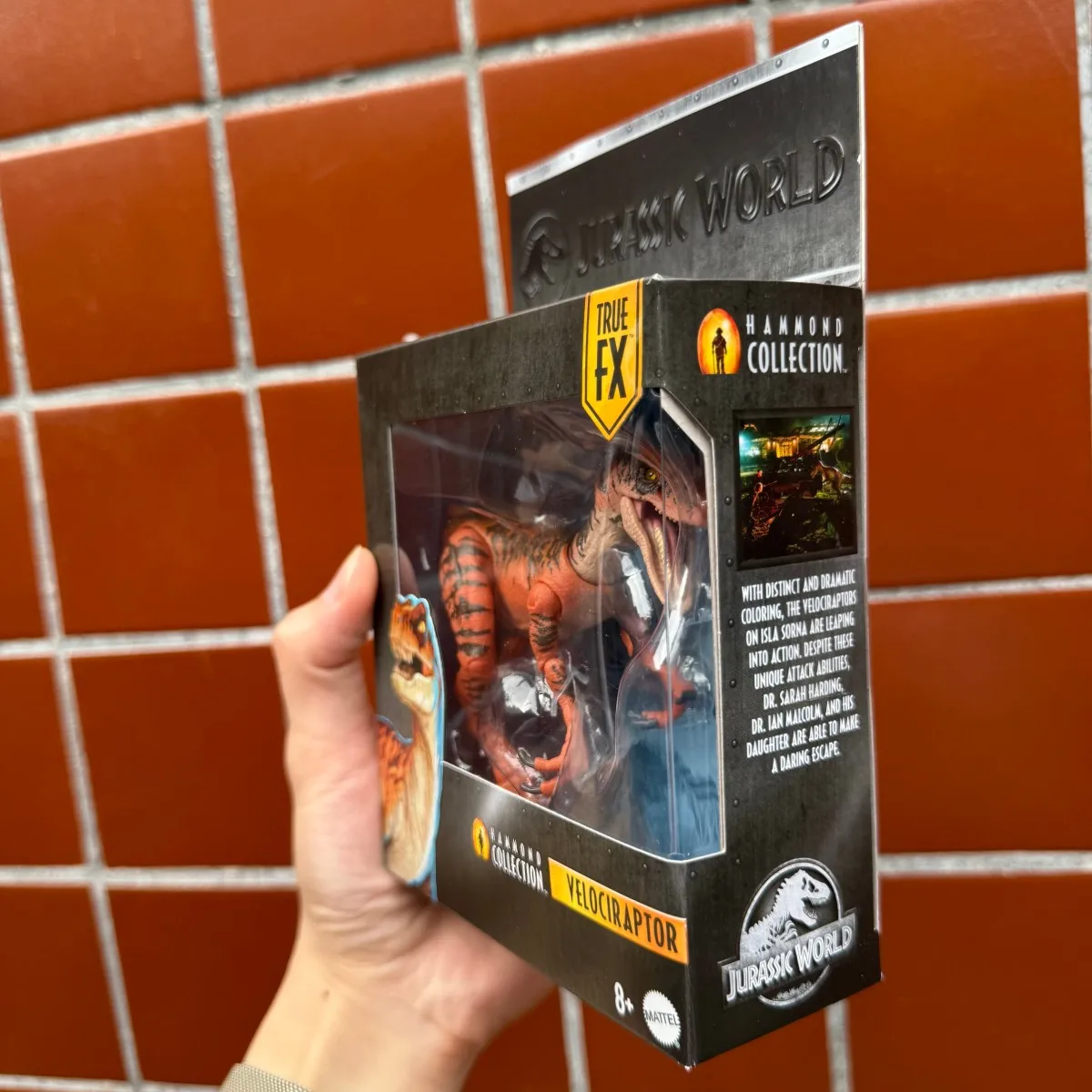 Mattel Jurassic World Hammond Collection Atrociraptor Tiger Dinosaur Action Figure, 13 Points Articulation JDJ09 view 5