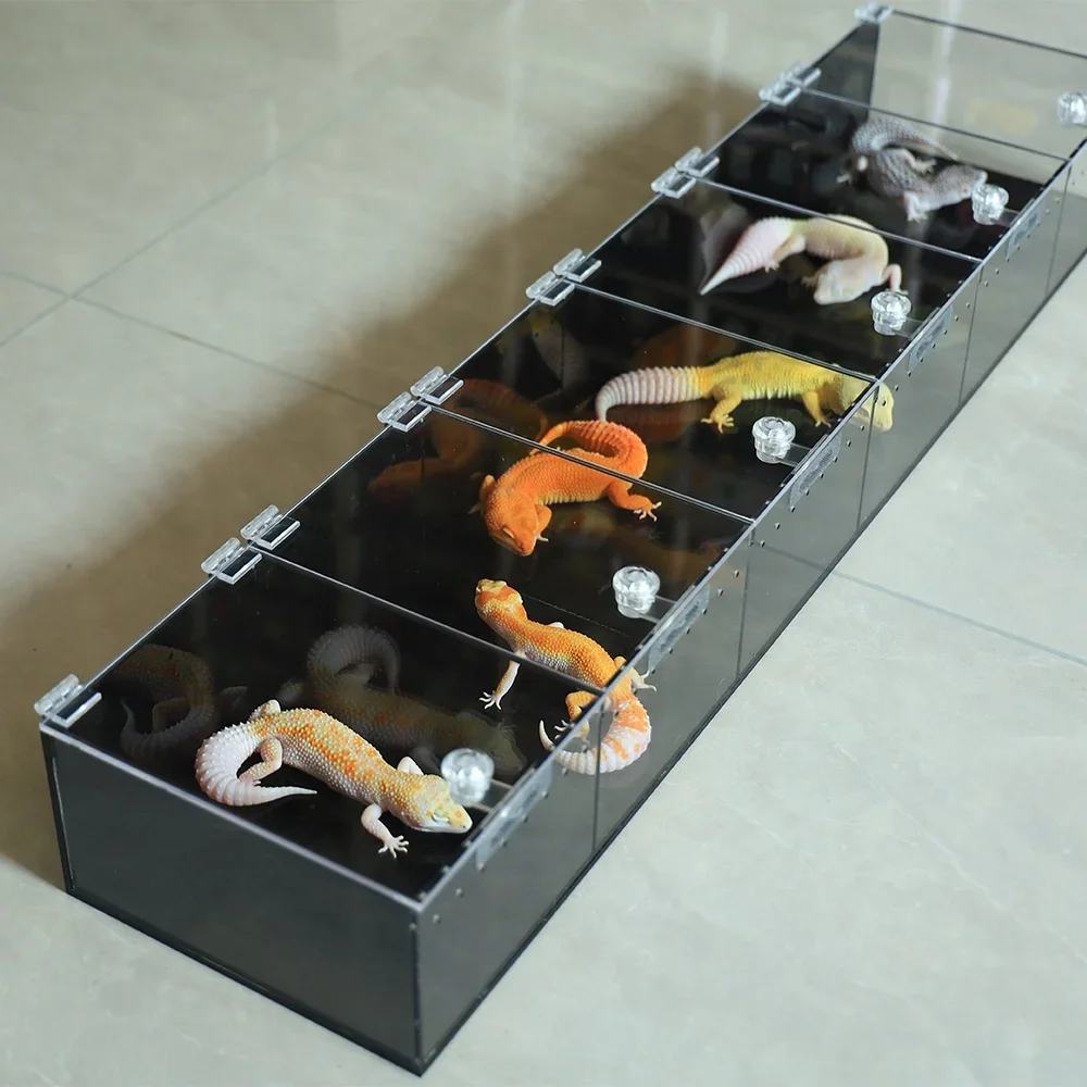 

Элегантный 3-ярусный акриловый террариум-витрина с индивидуальной алюминиевой ручкой для выставок рептилий