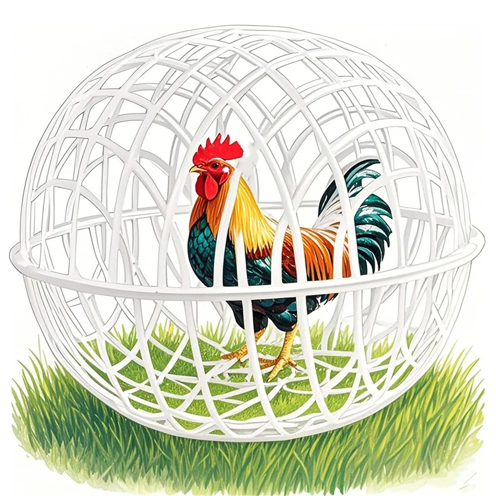 Jaula Circular para Pollos, Red de Protección Redonda para Pollitos, Conejos y Patos (1 unidad de 30 cm)