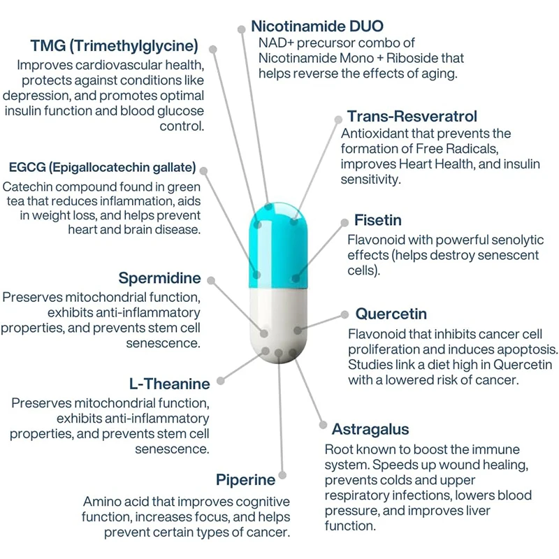 الملحق NAD Complex AEON يحتوي على نيكوتيناميد، فيستين، كيرسيتين، ريسفيراترول، أستراغالوس، كولاجين-60 كبسولة