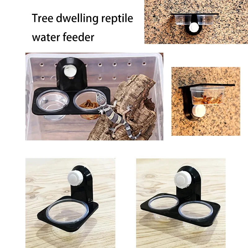 Accesorios para tanque de reptiles, insecto, araña, hormigas, nido, serpiente, Gecko, tazón de alimentación de agua, terrario, caja de alimentadores de cría, suministro para mascotas