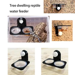 Reptile Tank Accessories Insect Spider Ants Nest Snake Gecko Food Water Feeding Bowl Terrarium Breeding Feeders Box Pets Supplie