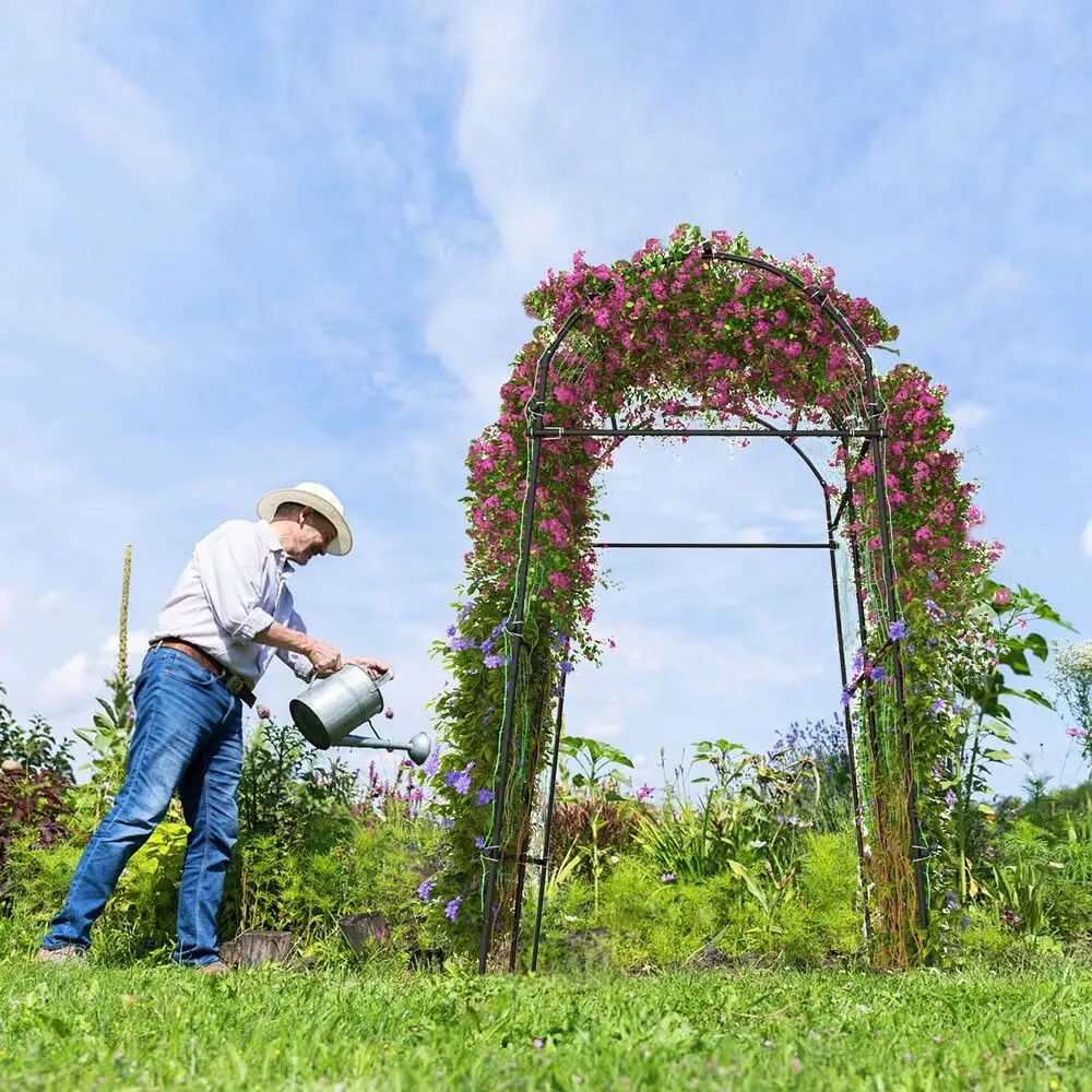 Arche de jardin en treillis pour plantes d'extérieur, support d'arche pour fleurs de vigne grimpantes