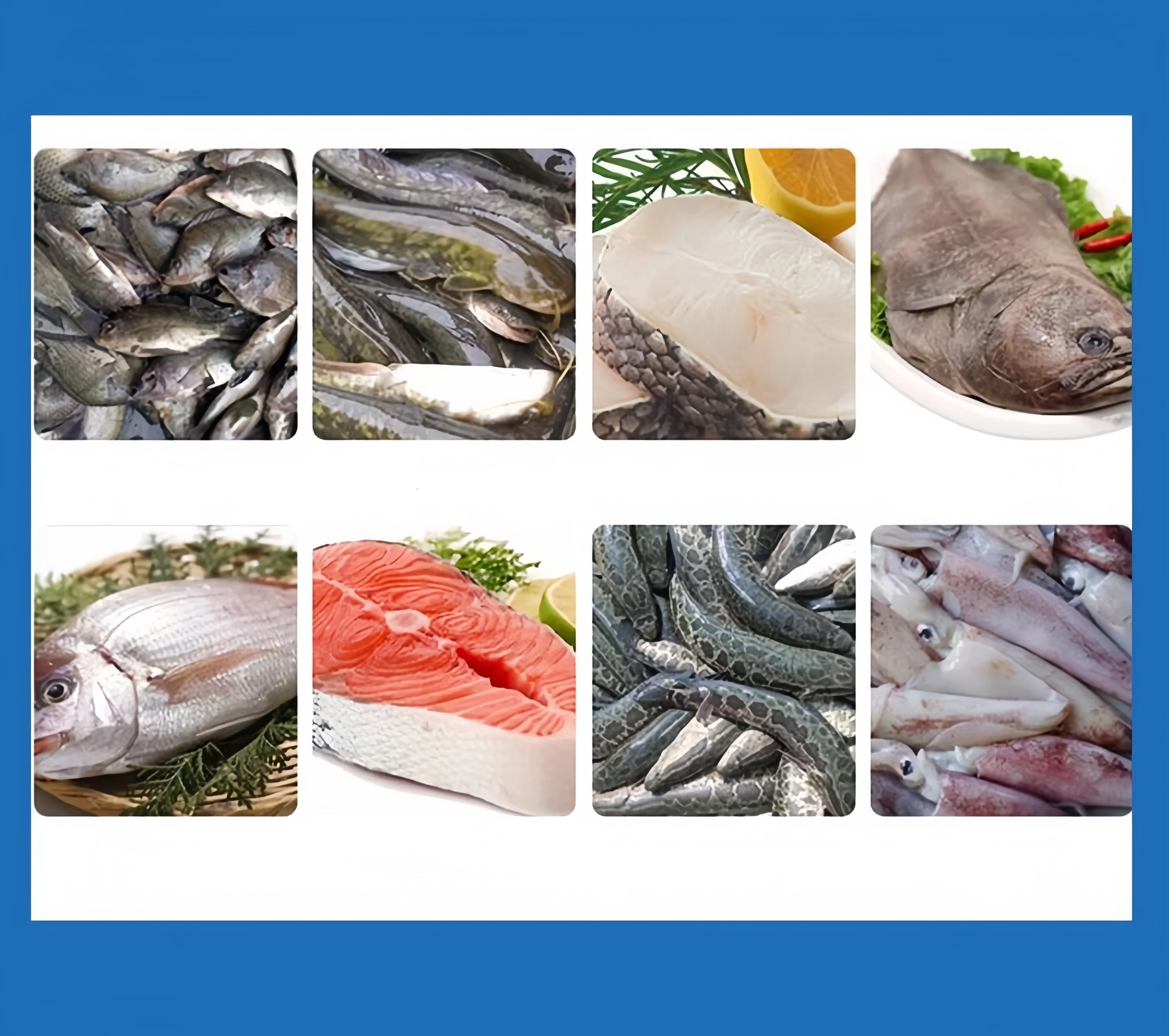 Commercial Fish Skinning Machine Highly Efficient Labor Saving Won't Damage Fish Meat Professional Fish Skinning Solution