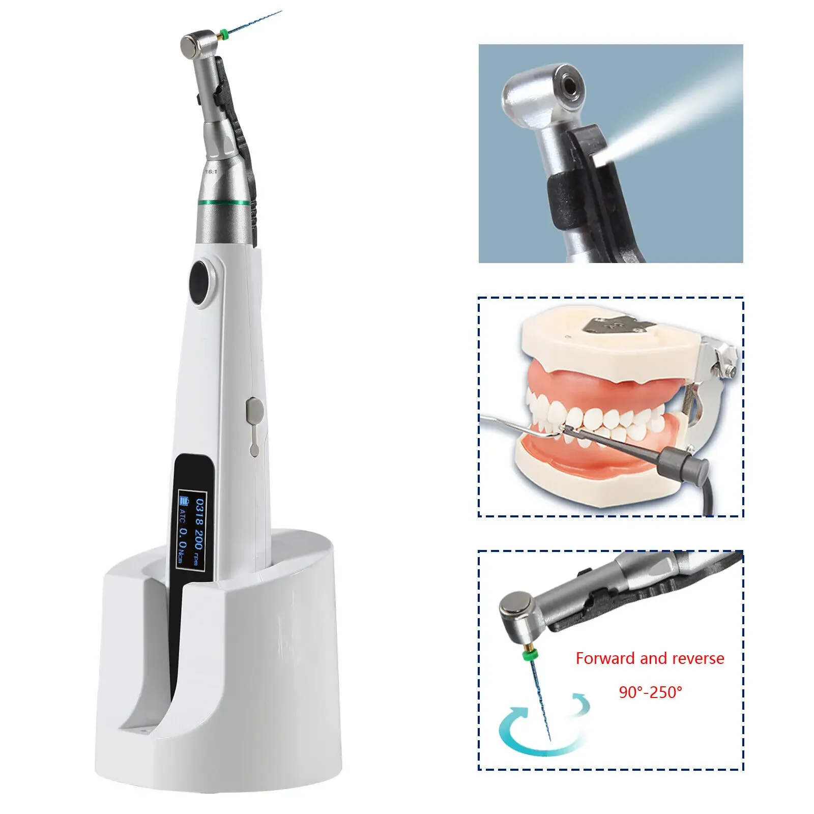 

2 In 1 Cordless Wireless Dentals LED Reciprocating Endo Motor with built-in Apex Locator 16:1 Handpiece