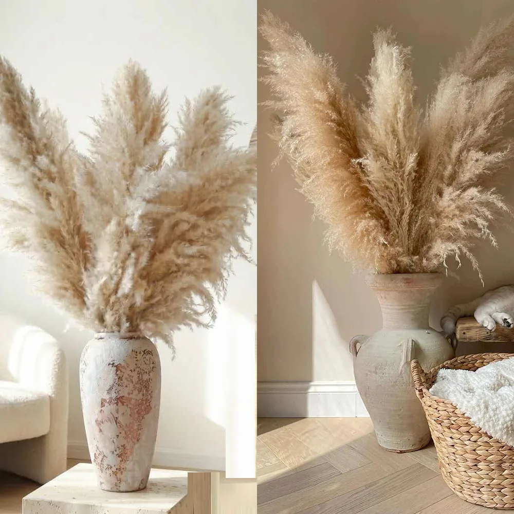 Natural Dried Real Pampas Grass Large Fluffy Tall Stems 10/30pcs for Floor Vase Living Room Bedroom Home Decor Wedding Centerpiece Bridal Bouquet Boho Rustic Farmhouse Fall Thanksgiving Decor Plumas De Pampas - view 8