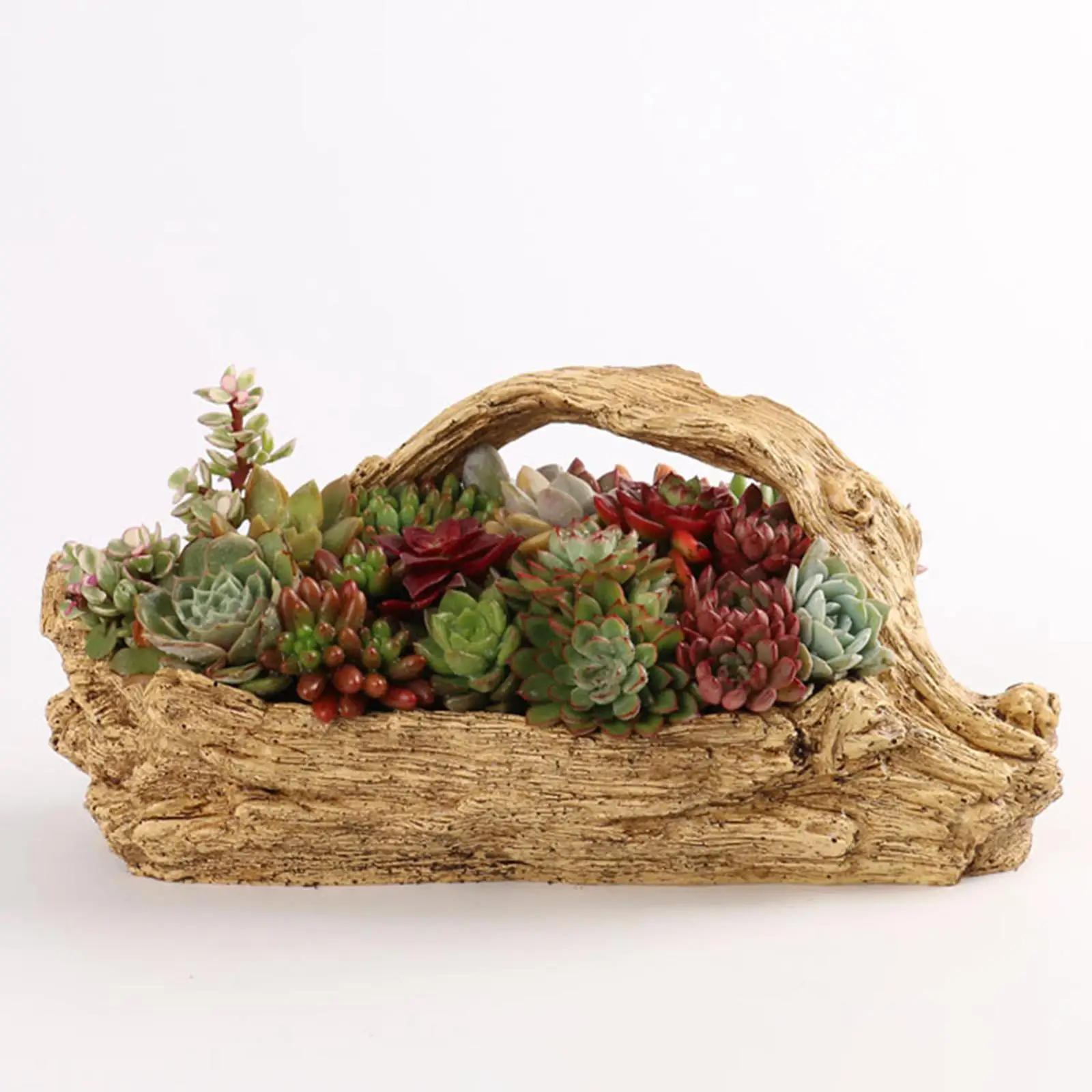 Succulent Pot Planter with Drainage Hole Office Herbs Plant Container Flower Pot