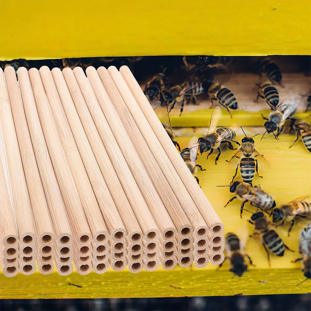 24Pcs Bamboo Bees N…