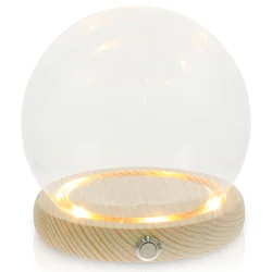 Hand-Made Glass Cover Dome Display Case Clear Plant Pots LED Decor Glowing Eternal Flower Delicate Flowers Preserved