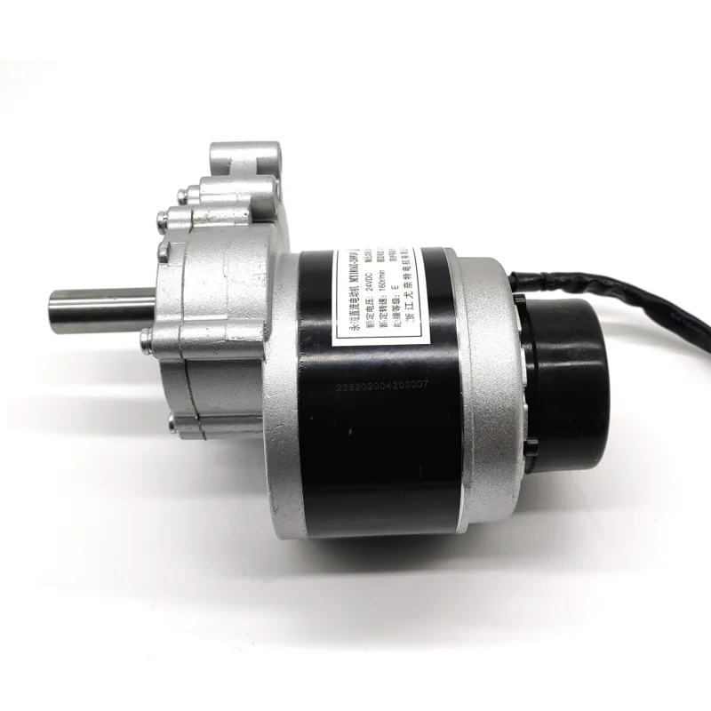 250W 24V 75 Vòng/phút 120 Vòng/phút 160 Vòng/phút Bánh Xe Ghế Sử Dụng DC Bánh Răng Chải Động Cơ tốc Độ Thấp Bàn Chải Động Cơ Điện Từ Phanh
