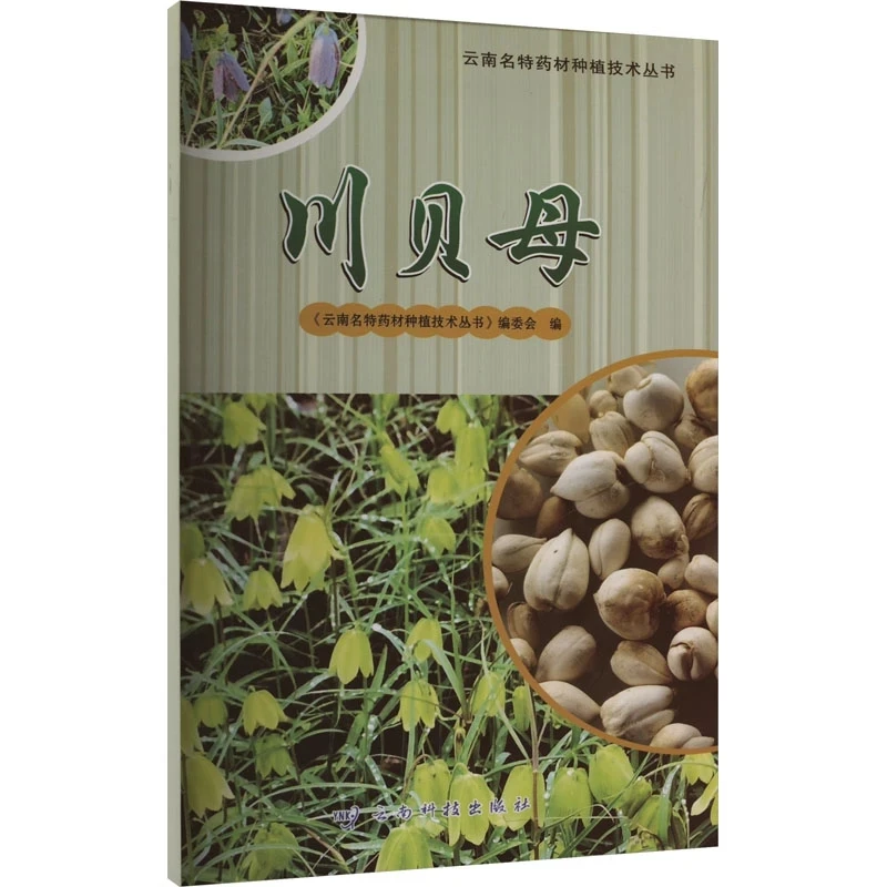 Fritillaria Cirrhosa (Chuan Bei Mu) Cultivation Guide: Yunnan Specialty Herbal Medicine Planting Techniques