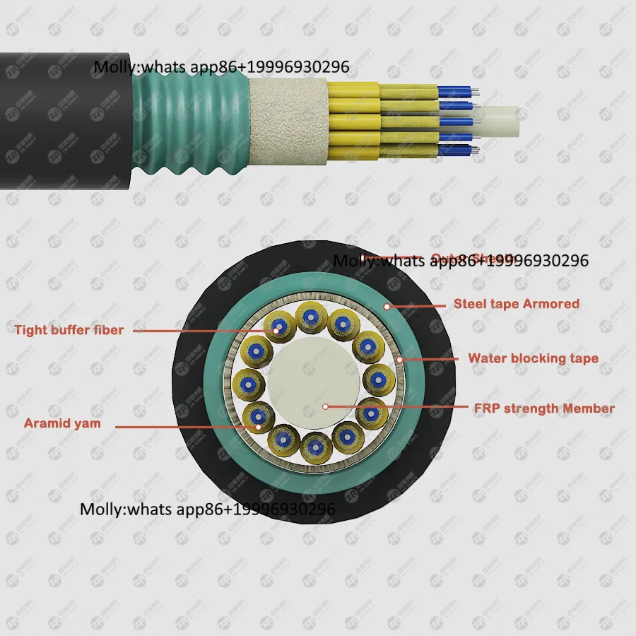 GYJTA 2 4 6 8 12 Core SM MM Single Mode Distribution Fiber Cable OS2 OM2 OM3 OM4 G657a2 Armored Indoor Fiber Optical Cable