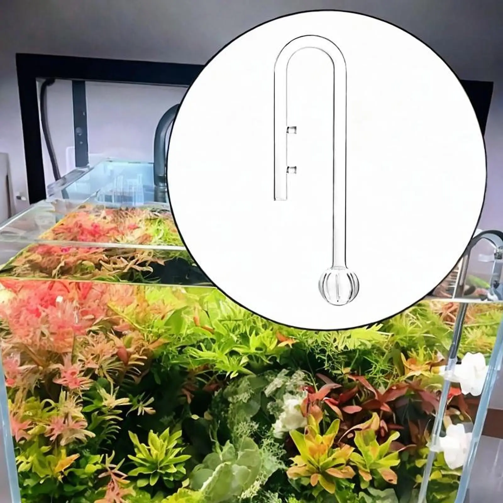 Glass Aquatic Lily Pipe Clear Inflow Tube for Planted Aquarium Easy to Install Water Flow Management - view 5