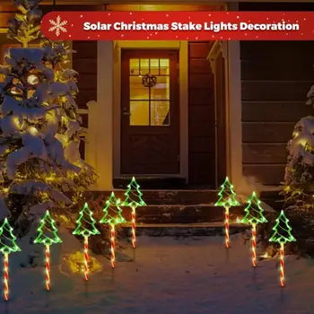 6 最佳銷售 巴斯頓領導 - №6