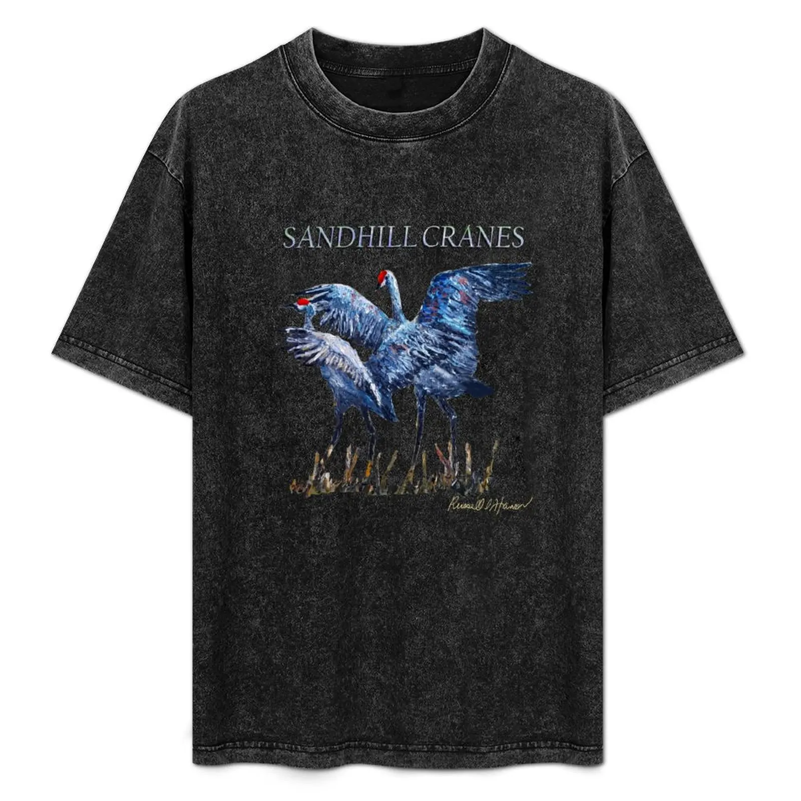 

Sandhill Cranes, T-Shirt man t shirts graphic cotton t shirts high quality t shirts for man cotton funny anime tshirt T-Shirt