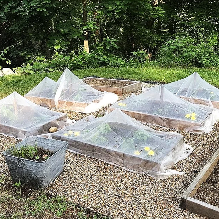 202540 50 80 أكياس شبكية مضادة للحشرات لحماية العنب للفواكه