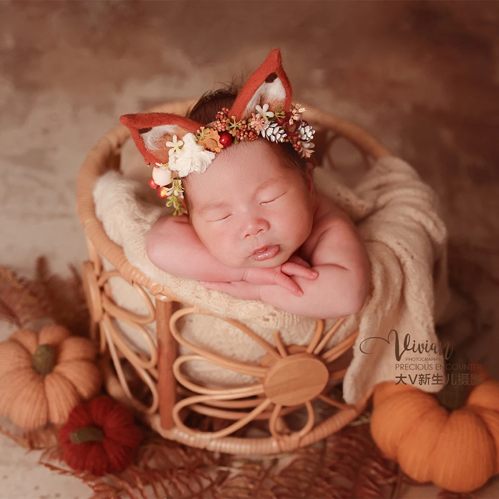 

Newborn Photography Props Cozy Autumn Theme Set-Baby Animal Ears Hat Knitted Blanket Pumpkin Decor for Studio Baby Fall Shooting