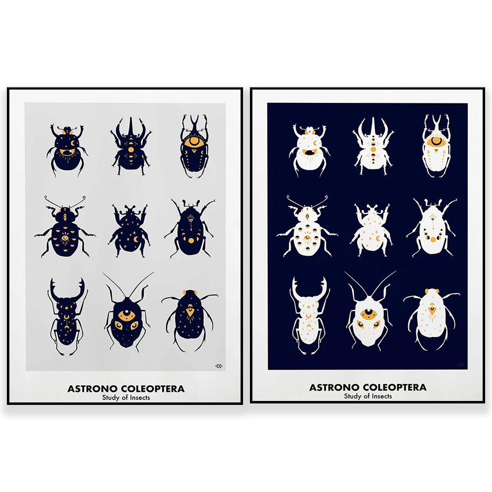 Insecte Science - modern witch - minimalist poster，  science and education poster corridor home decoration mural