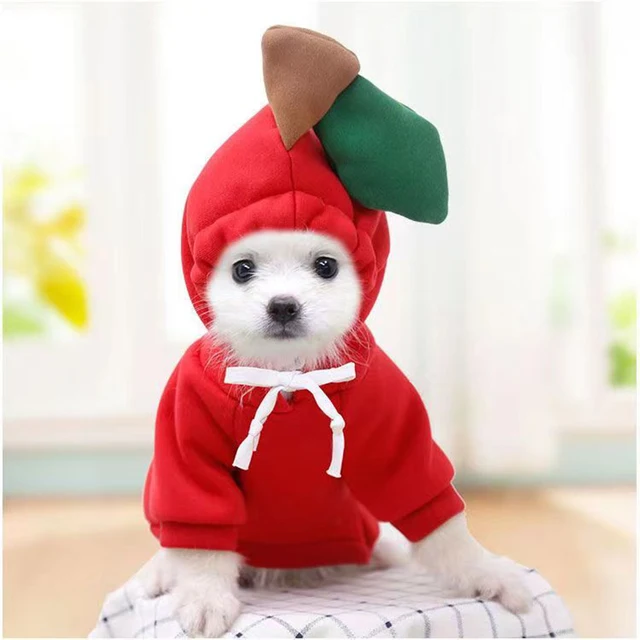 Uroczy pies bluza z kapturem dla zwierząt, owoce, śmieszne psie płaszcze z kapeluszem kostium Cosplay na Halloween psa bluza z kapturem dla szczeniąt kota
