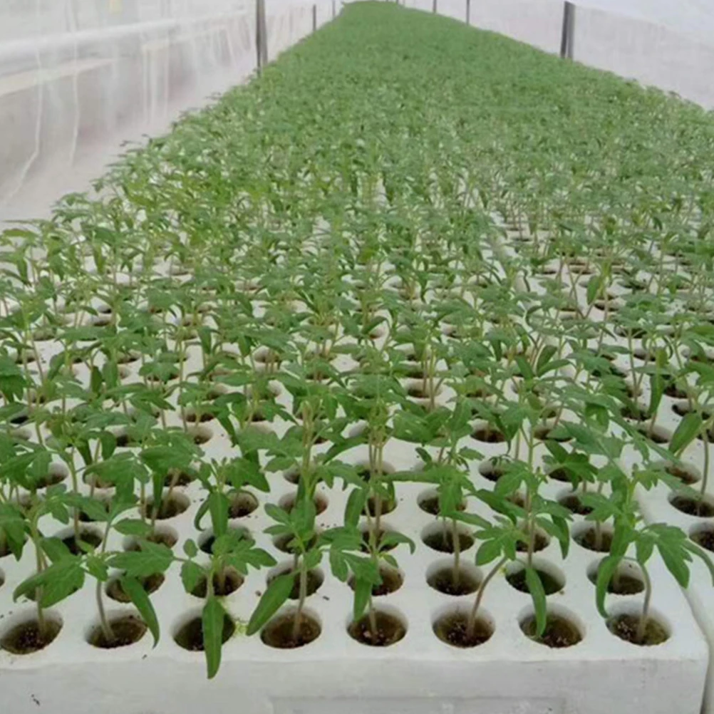 40pcs Plug Hydroponics Wool Cubes For Soilless Transplanting Starter Kit Gardening Supplies