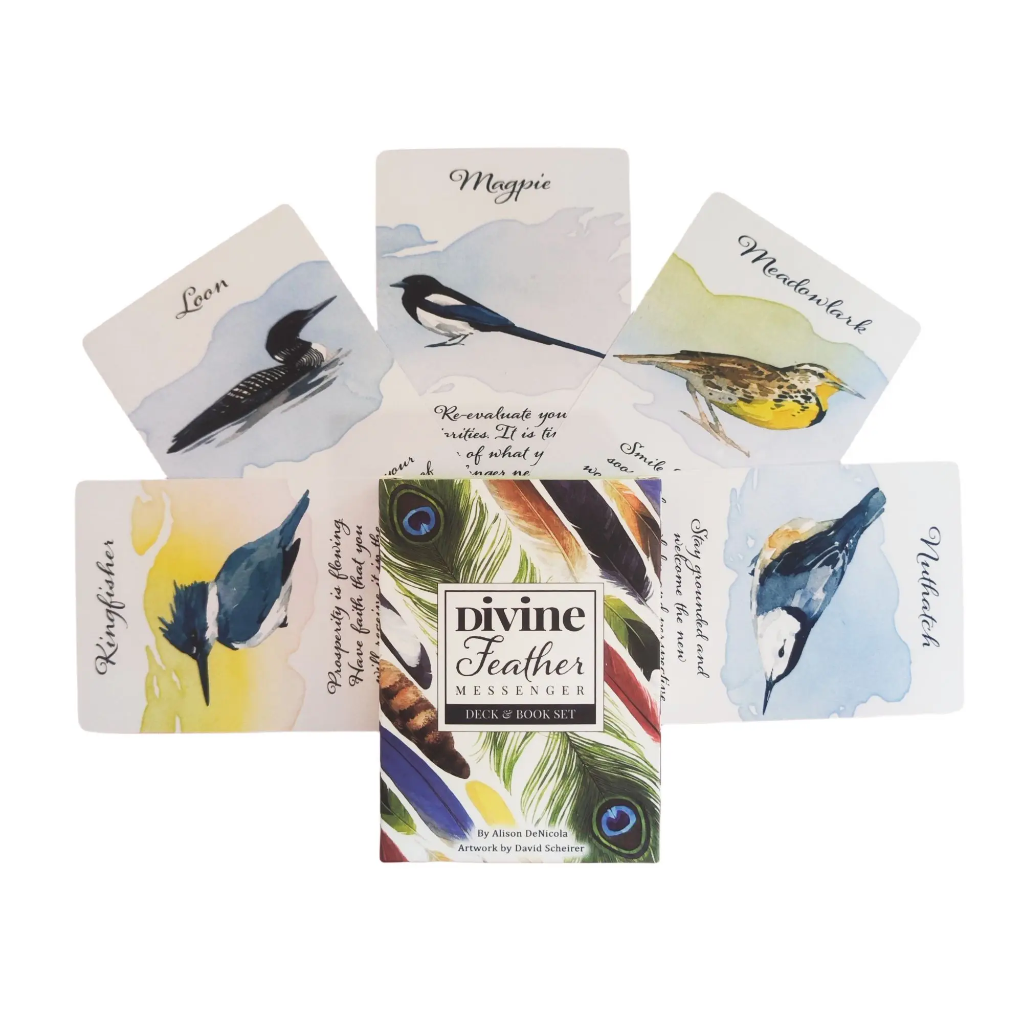 Divine Feather Messenger Tarot Oracle Cards 44 Birds Symbolism & Energies 10.4x7.3CM Divination Fate Reading and Board Game