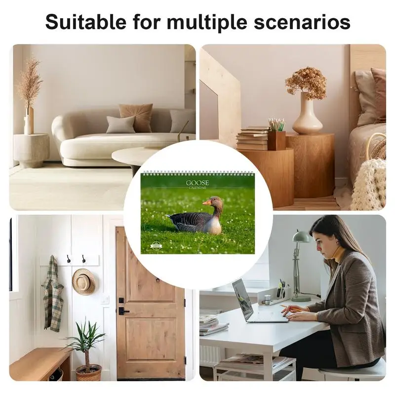 Animal Monthly Wall Calendar Annual Schedule Wall Planner Practical And Fun Annual Yearly Planner For Home Study Room Offices