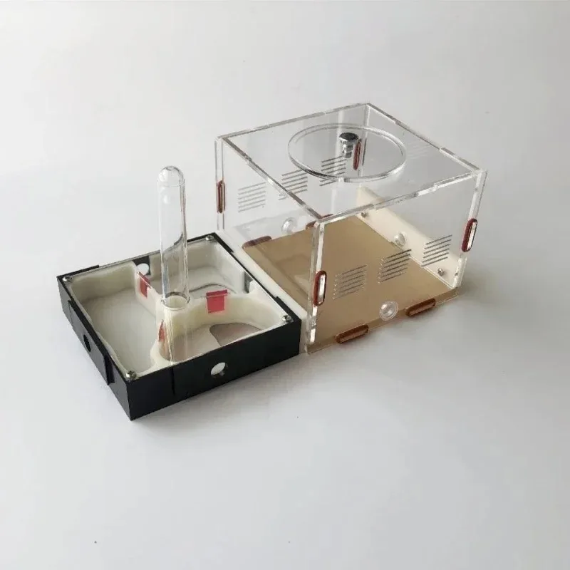 Pioneer Ant Nest Unlimited Expansion Flat  Acrylic  3D Printing  Pets