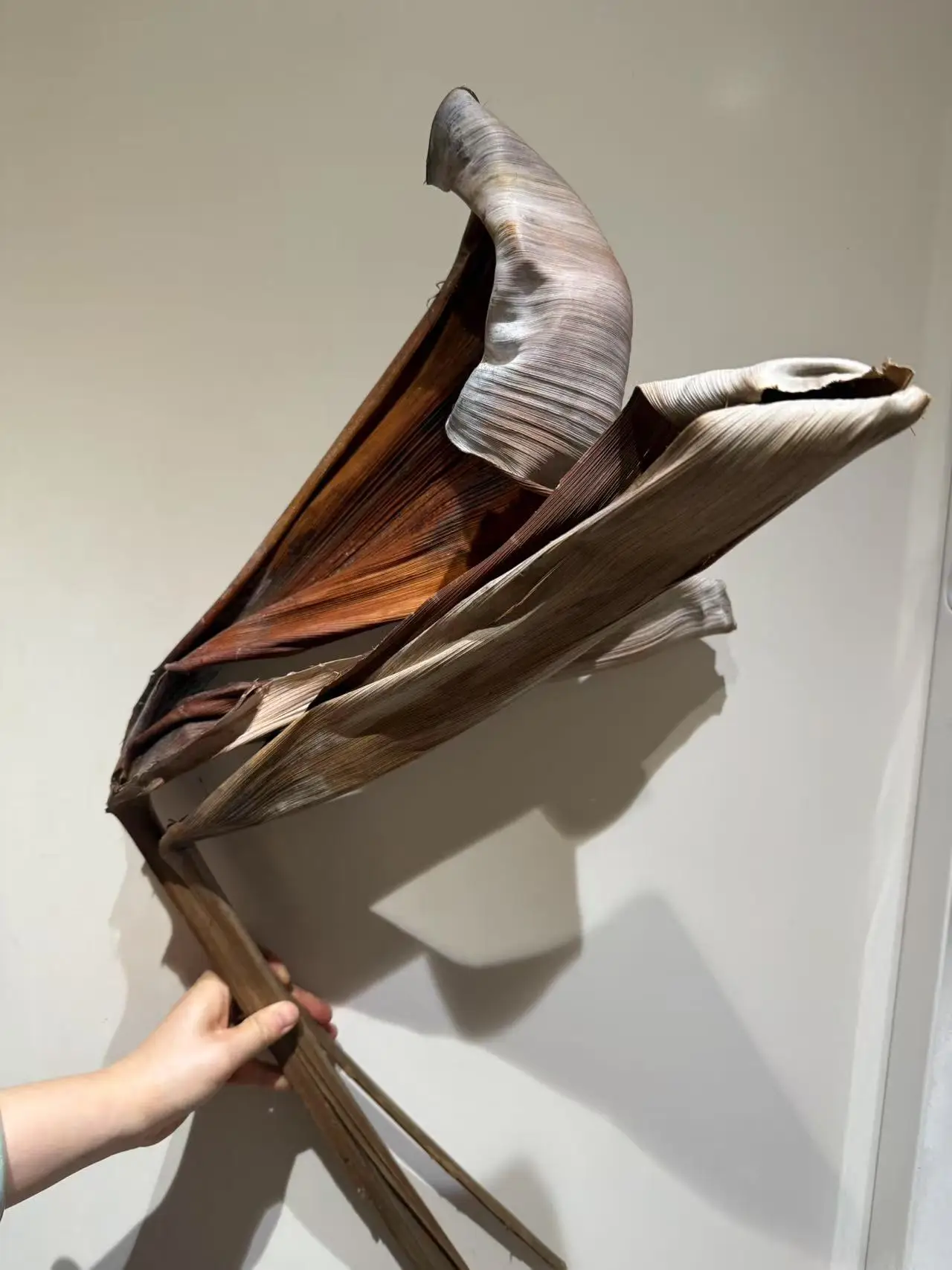 

l a Le ell Dry Decorative Plant Le Photoaphy Prop Soft Decoration Special Edition Brown Le ell Home Decor