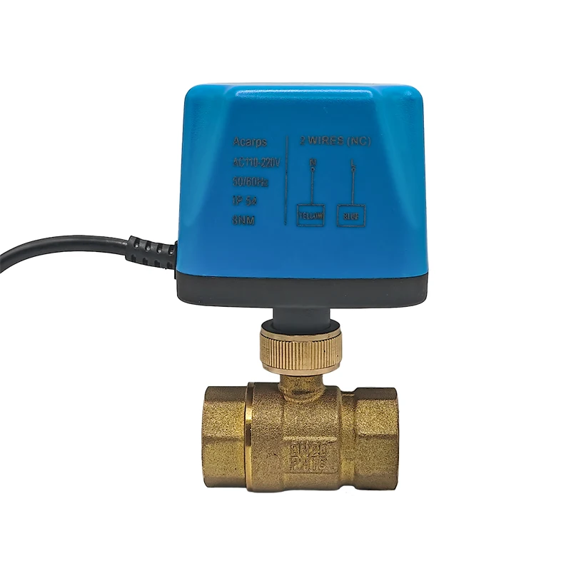 Acarps Vollmessing Motorisiertes Kugelventil Normalerweise Geschlossen/Normalerweise Offen 2-Draht 1/2' 3/4' 1' Innengewinde 12V 24V 110V 220V – Detail 11
