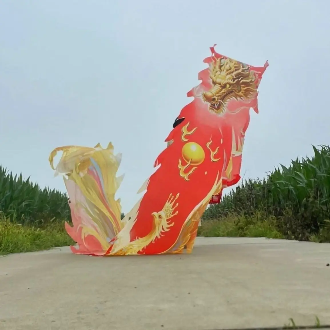 8m Chinese Phoenix And Dragon Dance Tail Accessories Square Performance Festival Supplies  (Price Not Include Dragon Head)
